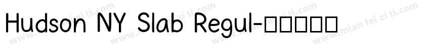 Hudson NY Slab Regul字体转换
